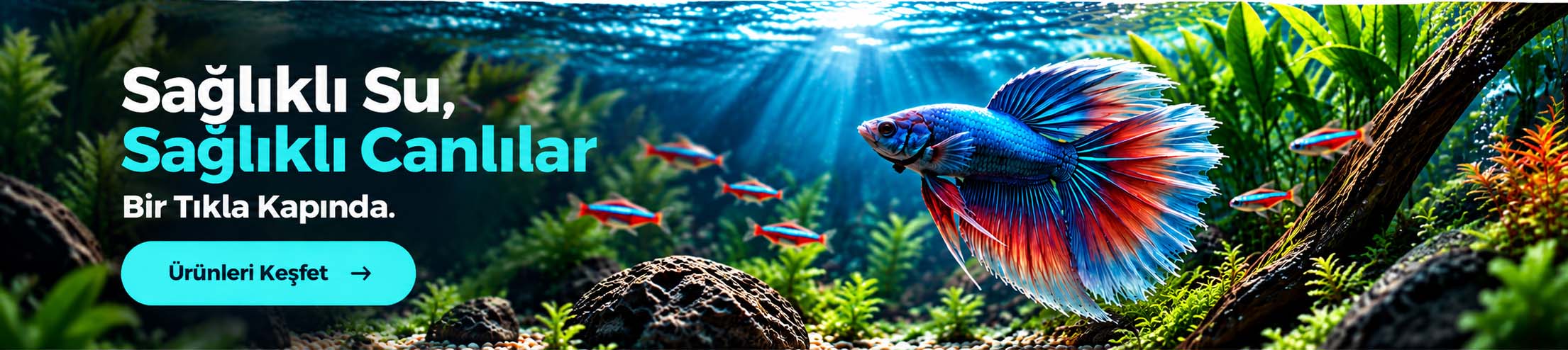 Motto Aqua & Pet Supplies